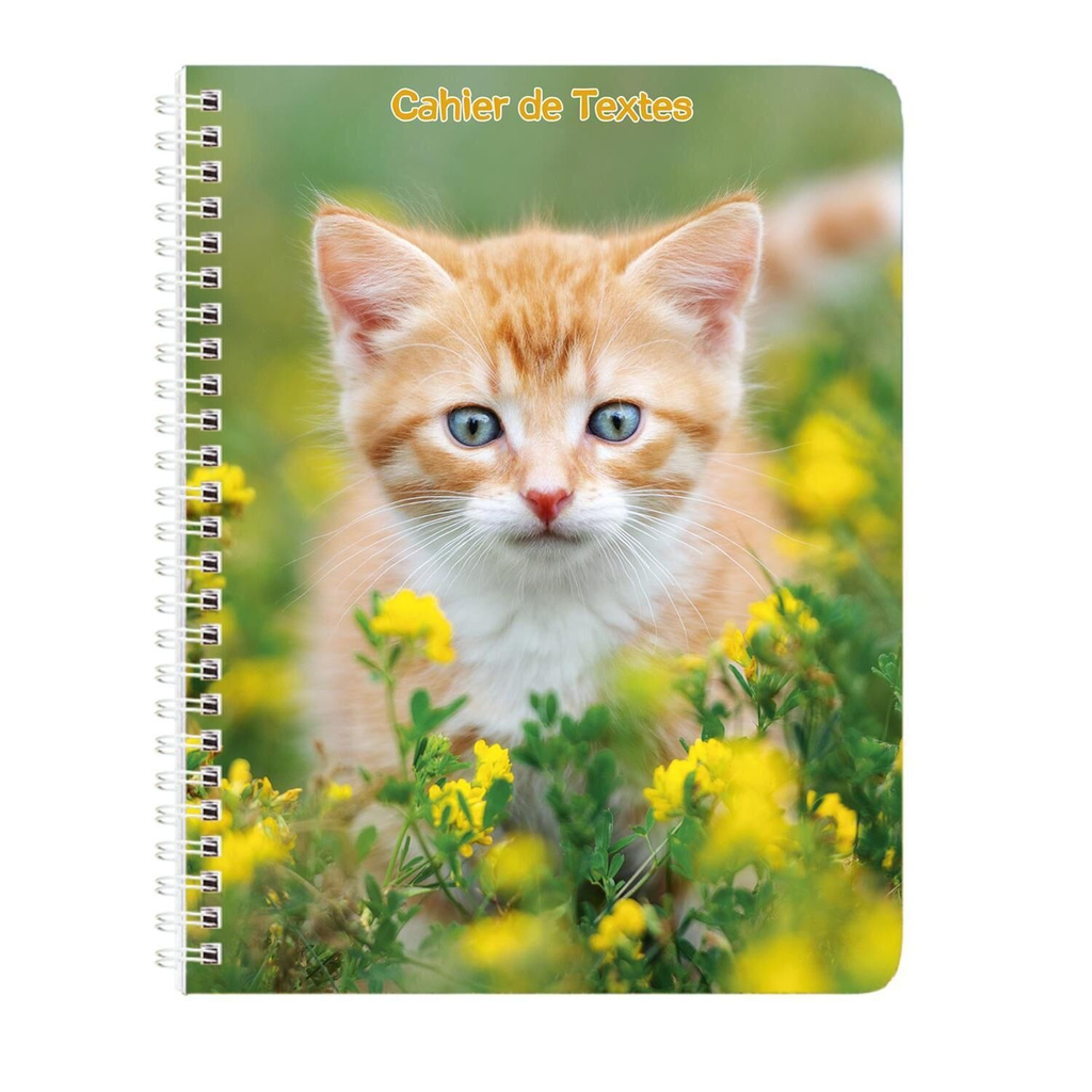CAH TXT ANMX CHATON 17X22 148P